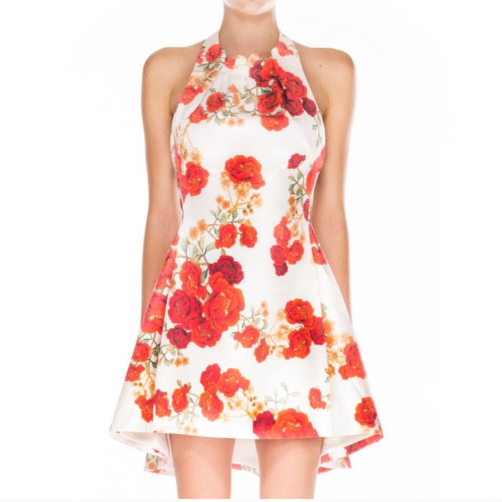 🆕 C/MEO About You Halter Dress • Rose • M